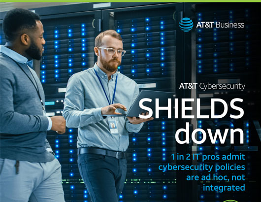 cybersecurity insights report volume 8